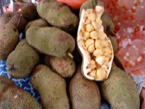 picture of cempedak fruit found in malaysia